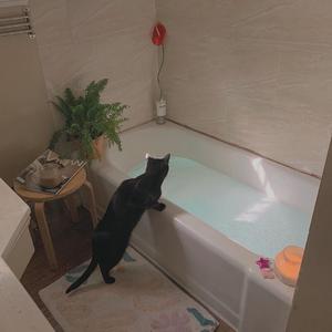 欧美HD色情仓库
