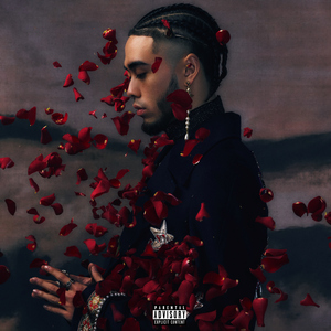 欧美HD色情仓库
